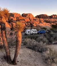 Joshua Tree NP